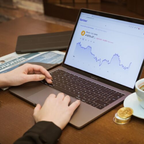 Woman on computer investing