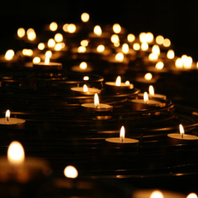 Look For The Light